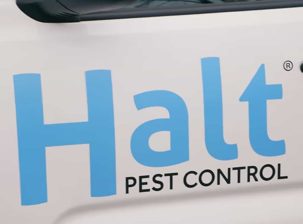 Halt Pest Control truck